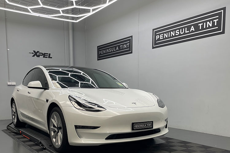 Tesla-paint-protection